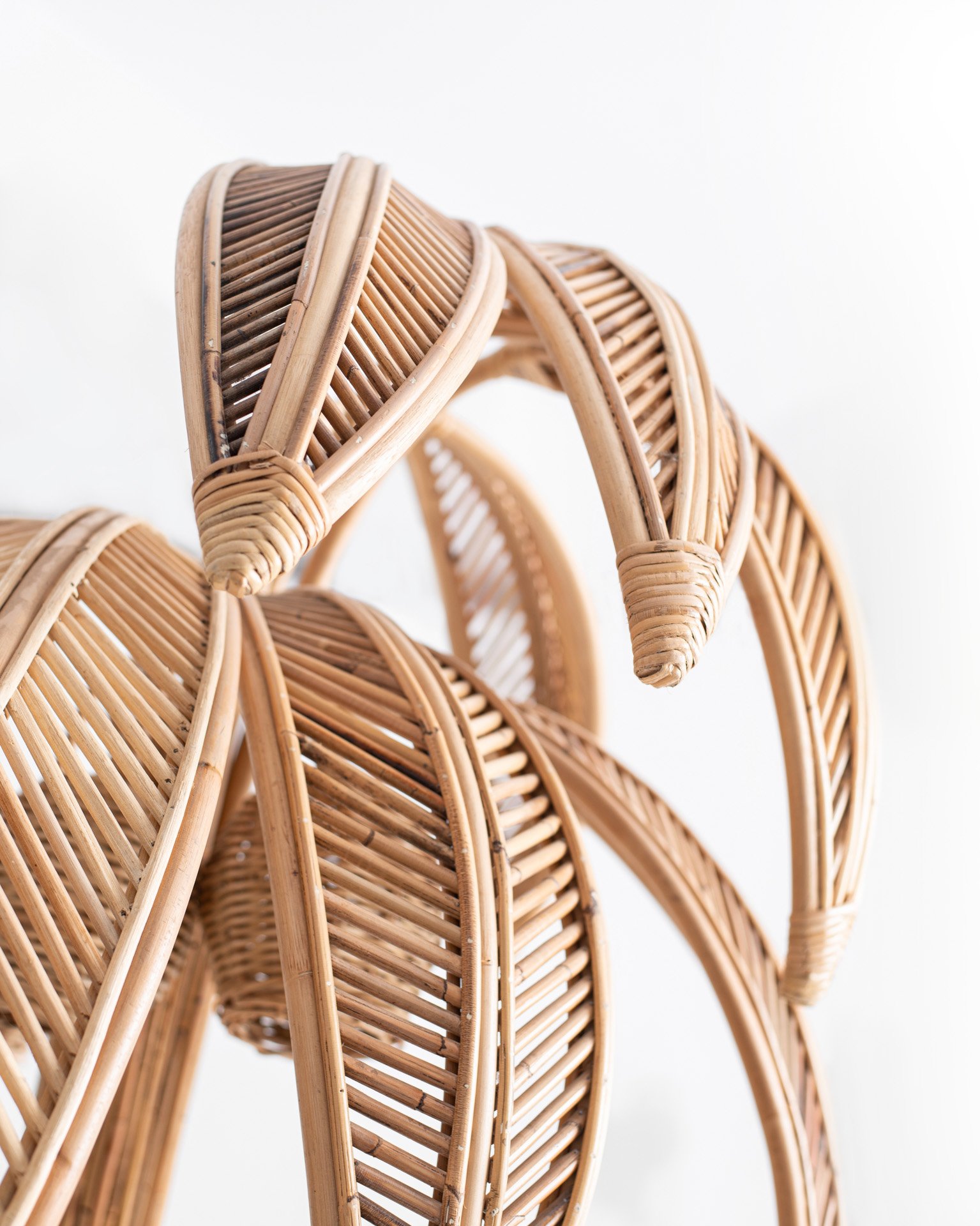 Palm Decor Thumbnail